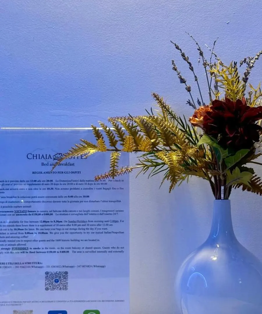 Chiaia Suites Naples Guest house